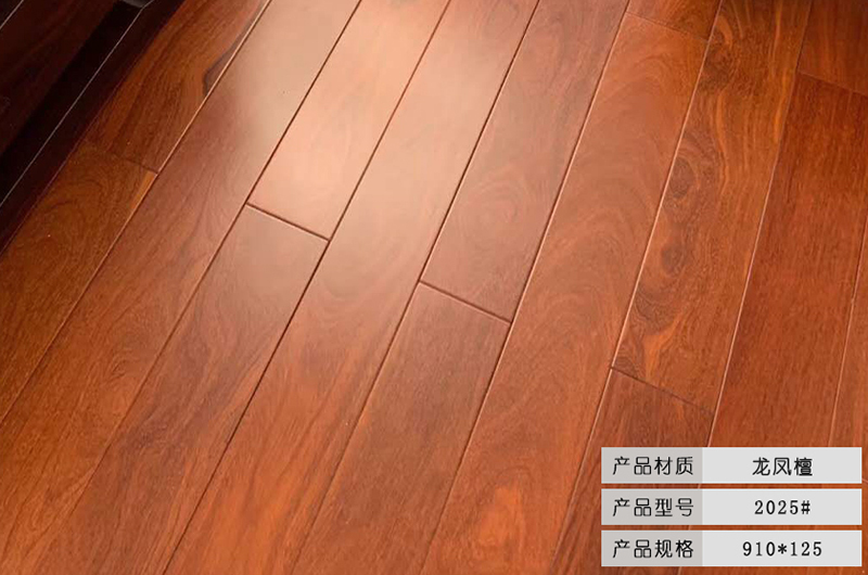 二翅豆
